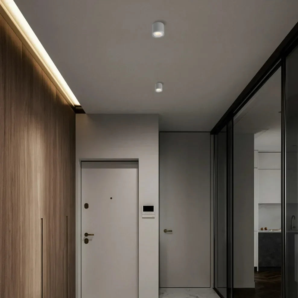 LED Ceiling Spotlight