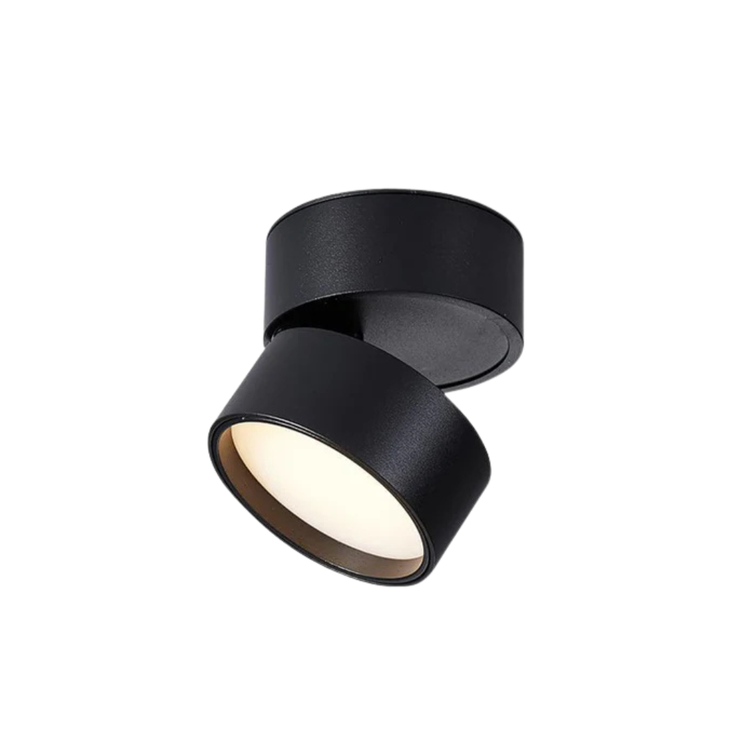 Adjustable LED Ceiling Spotlight