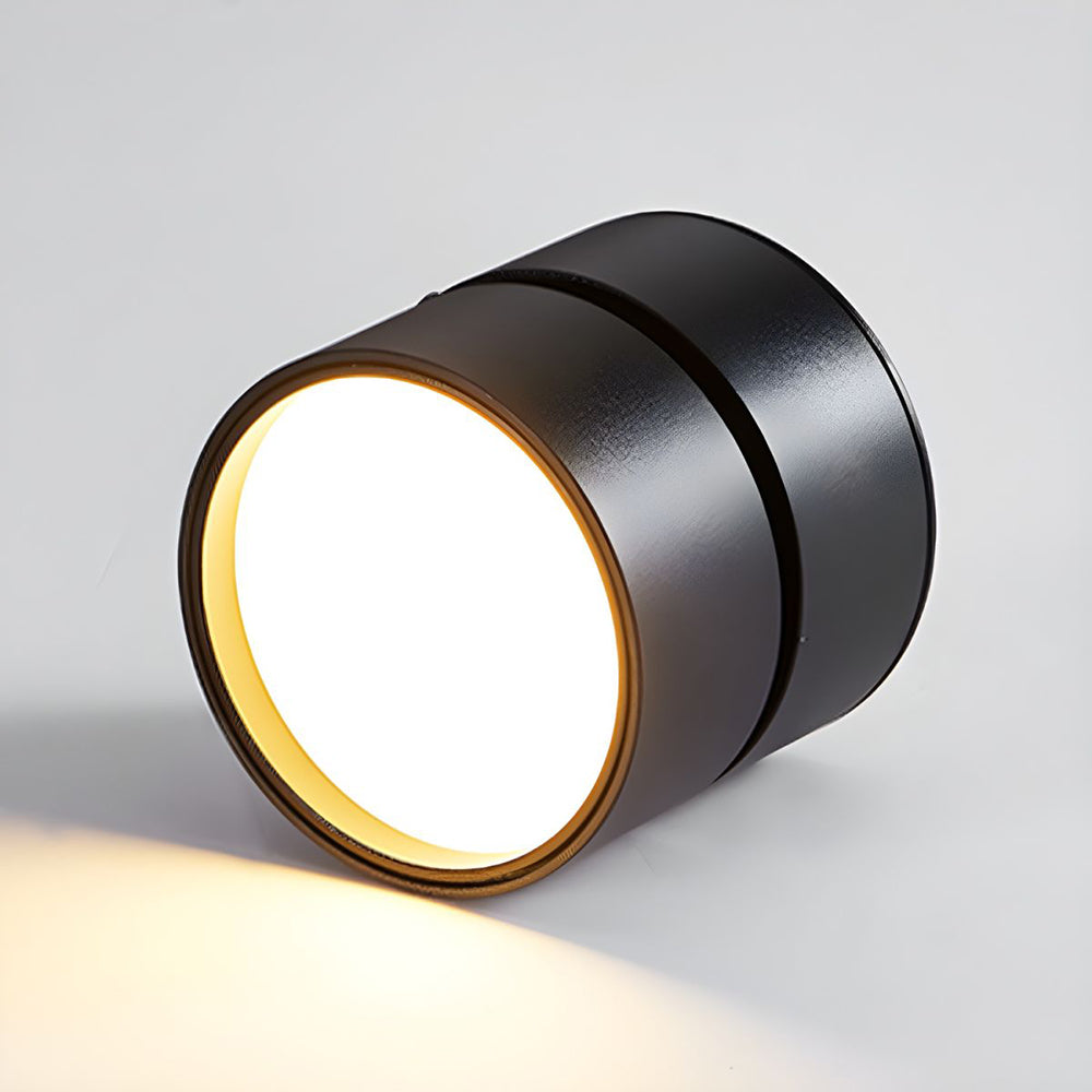 Adjustable Modern LED Ceiling Light with Rotatable Cylindrical Module