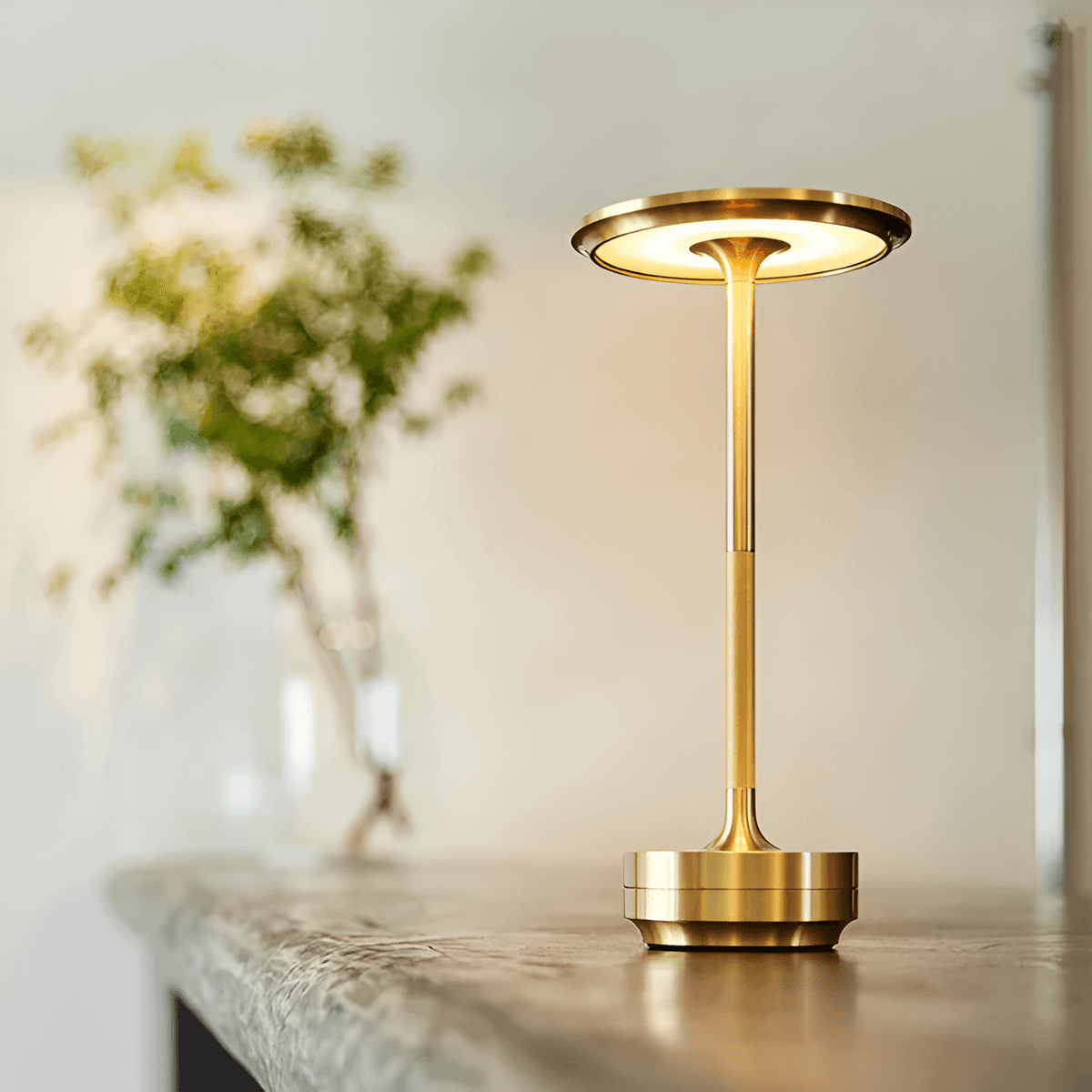 Cordless Rechargeable LED Table Lamp