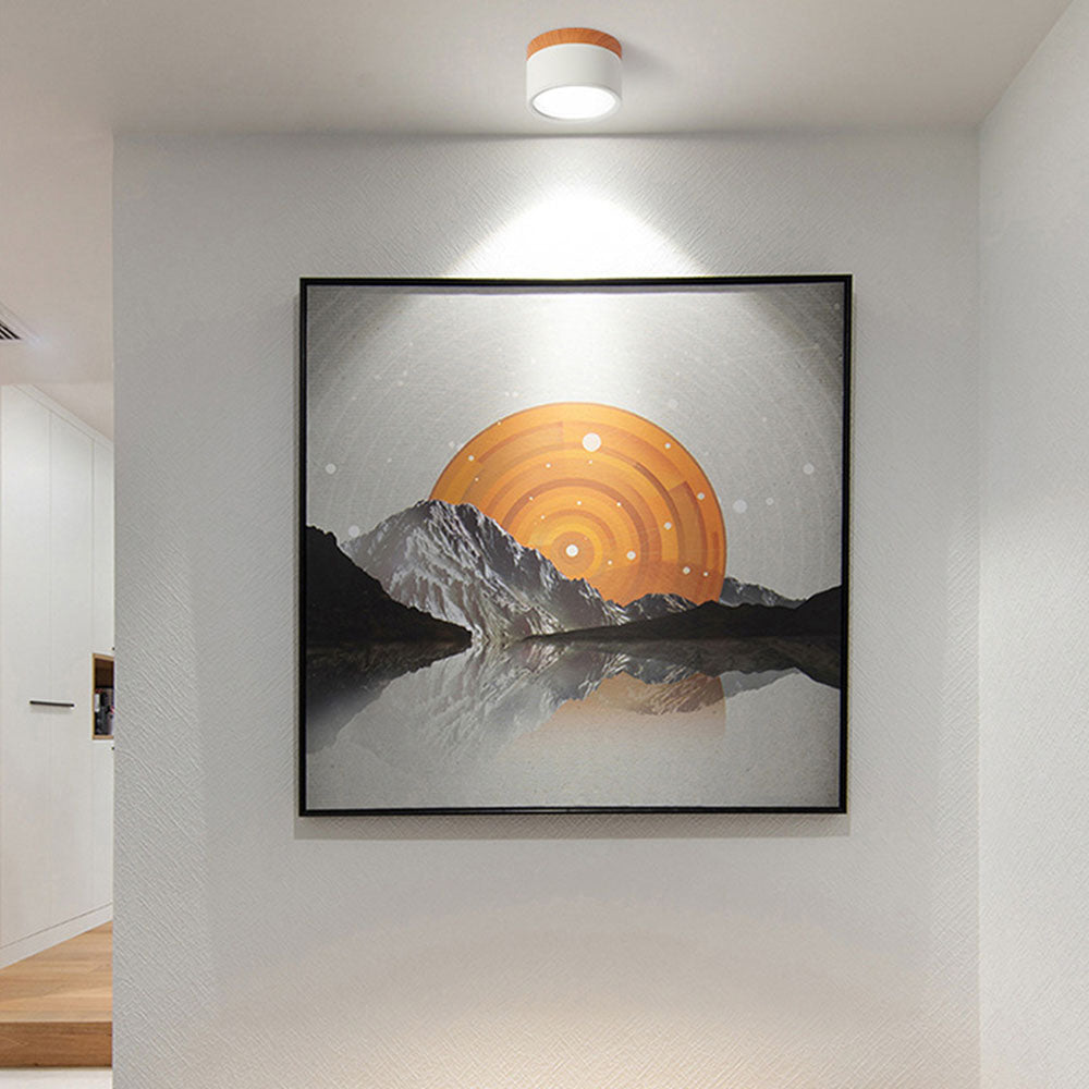 Cylindrical LED Ceiling Spotlight