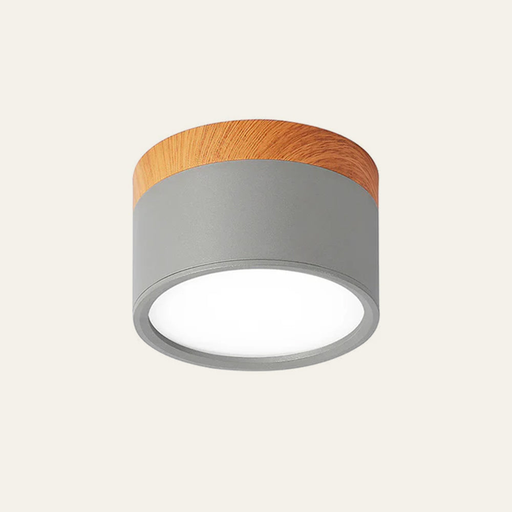 Cylindrical LED Ceiling Spotlight