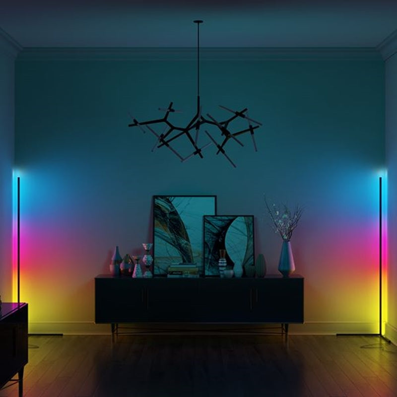Dimmable Multi-Mode Floor Lamp