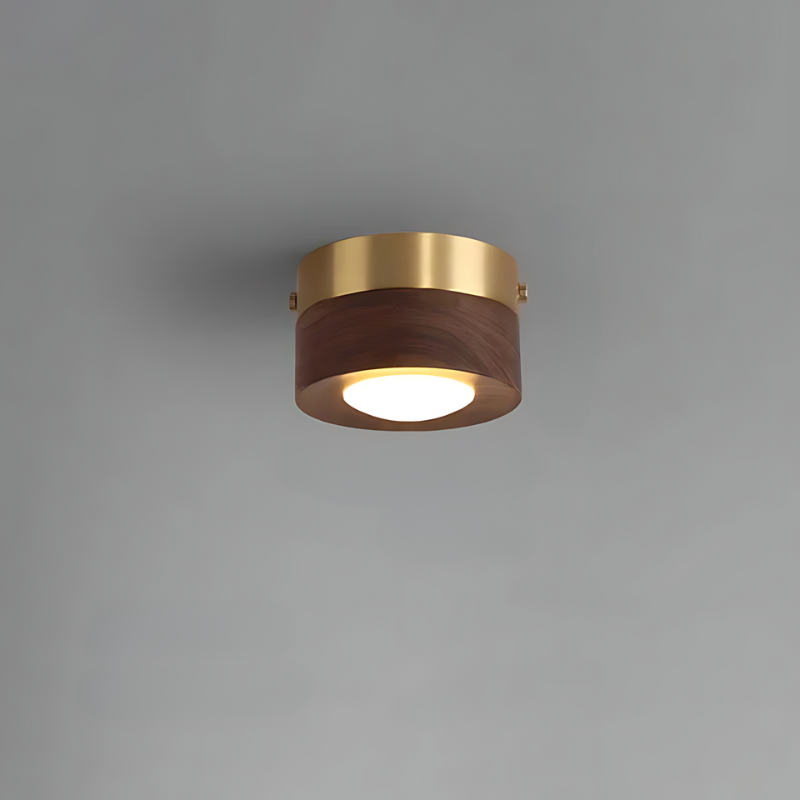 Energy-Efficient LED Spotlight with Minimal Ceiling-Mounted Design