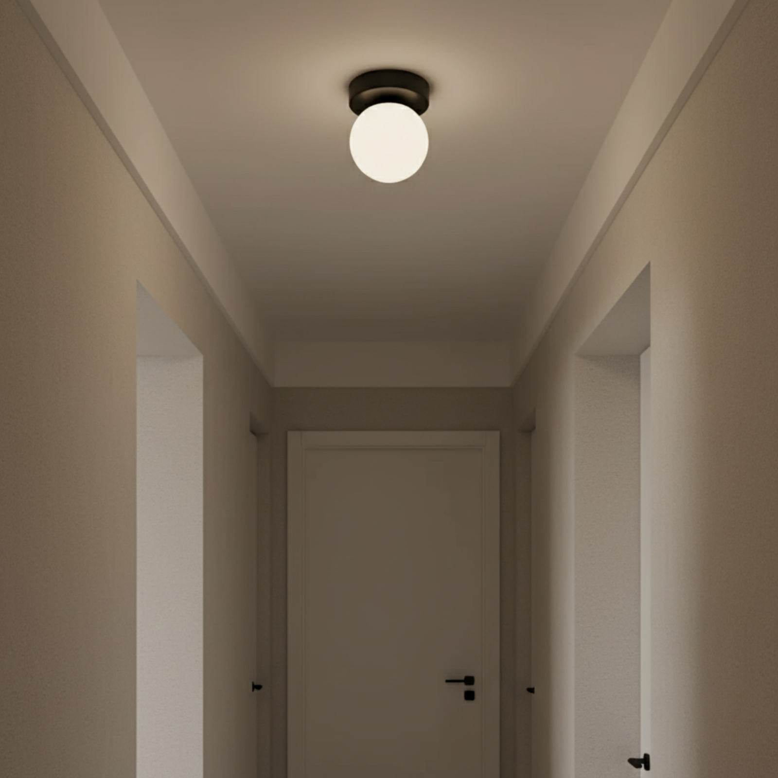 Frosted Glass Globe Wall and Ceiling Light