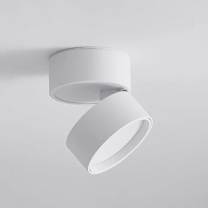 Modern Adjustable LED Ceiling Light with Rotating Head