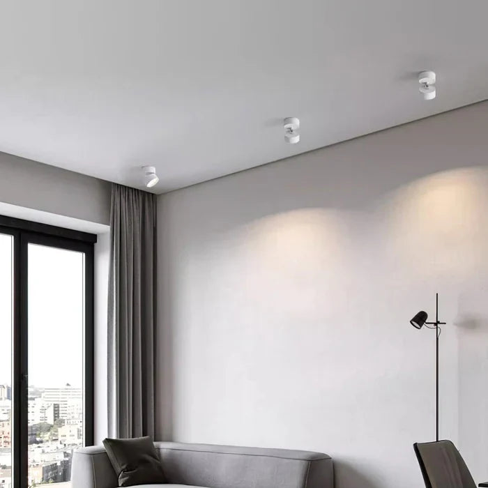 Modern Adjustable LED Ceiling Light with Rotating Head