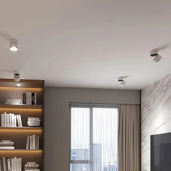Modern Adjustable LED Ceiling Light with Rotating Head