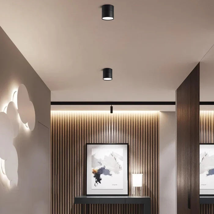 Modern Adjustable LED Ceiling Light with Rotating Head