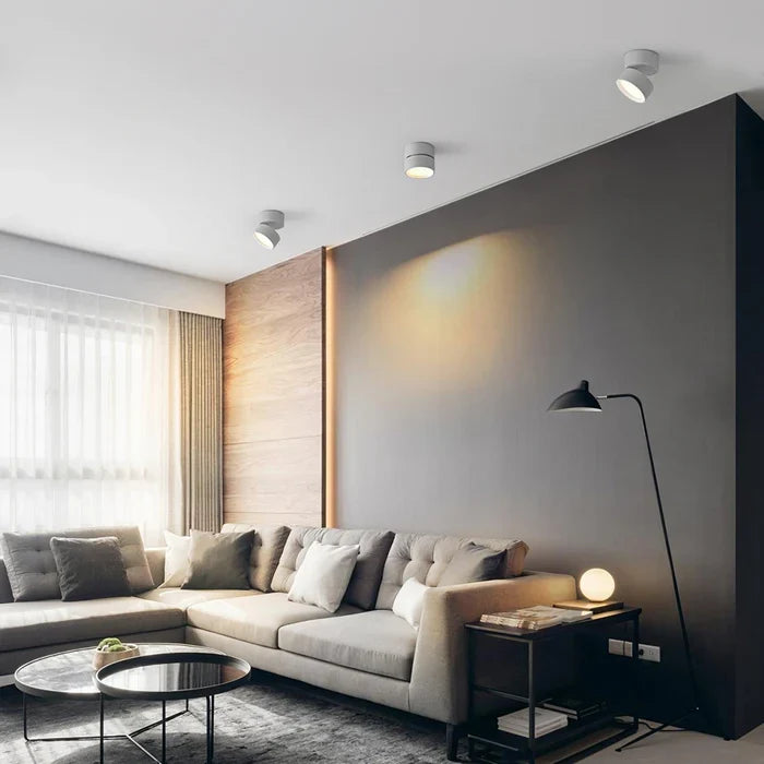 Modern Adjustable LED Ceiling Light with Rotating Head