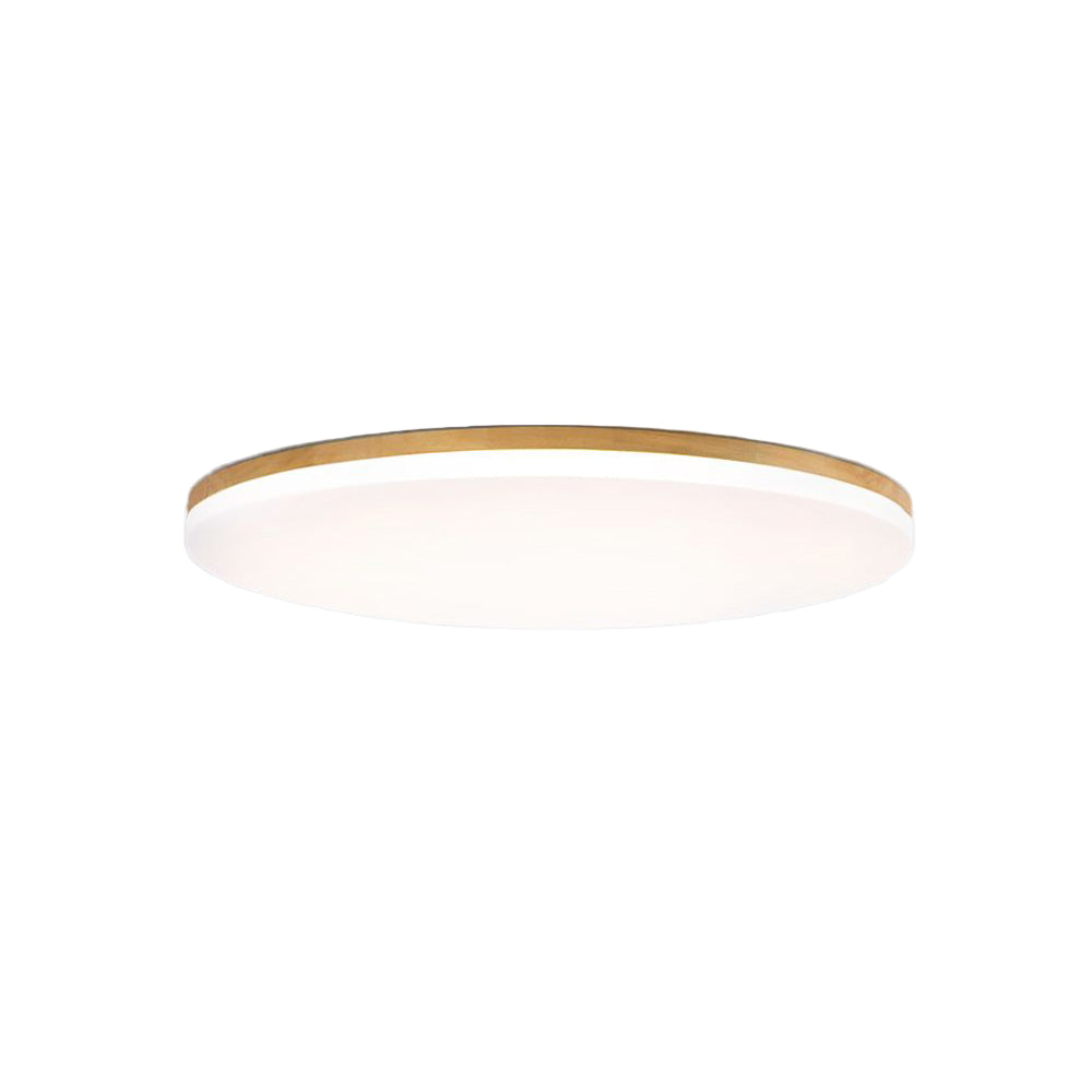 Modern LED Ceiling Lamp Ceiling Light for Bedroom, Living Room & Dining Room