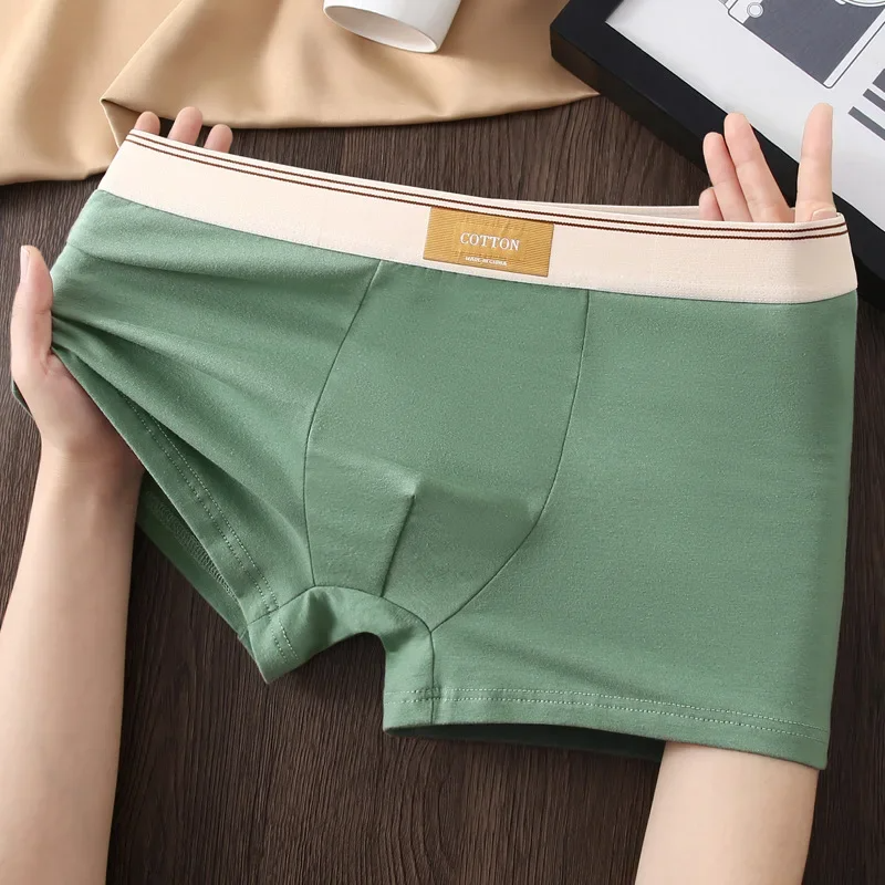 Men's Plain Boxer Briefs with Wide Waistband