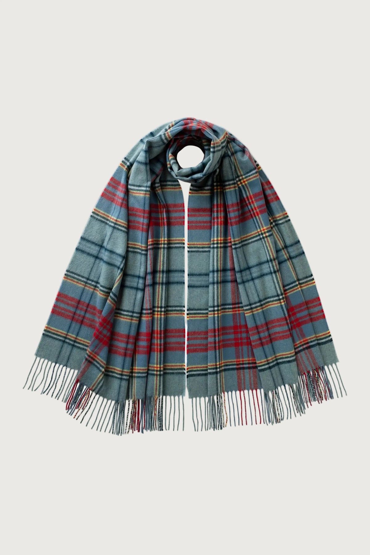 Men's Anderson Tartan Fringed Scarf
