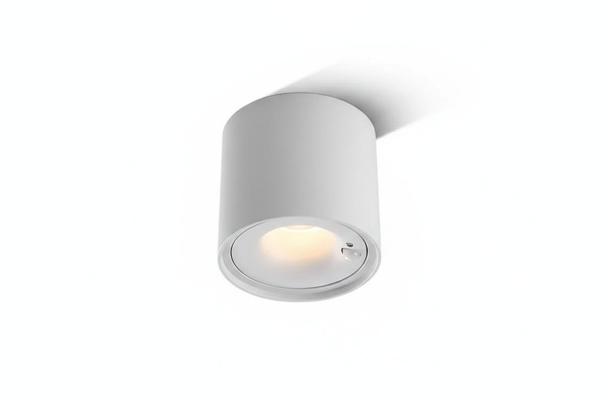 LED Ceiling Spotlight