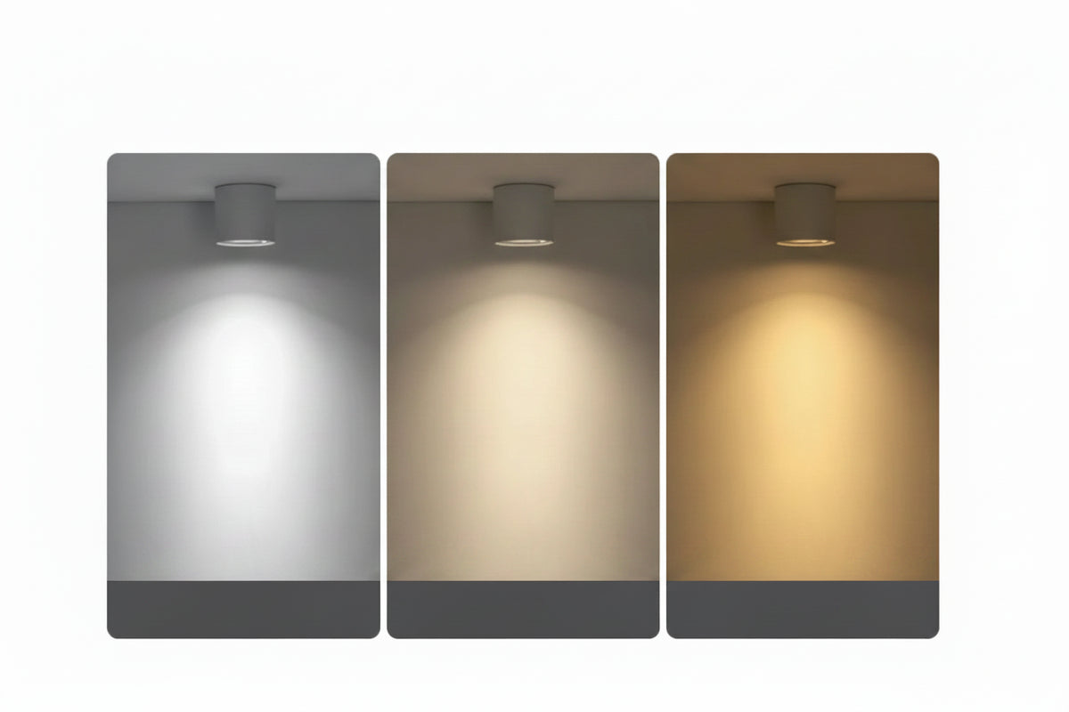 LED Ceiling Spotlight