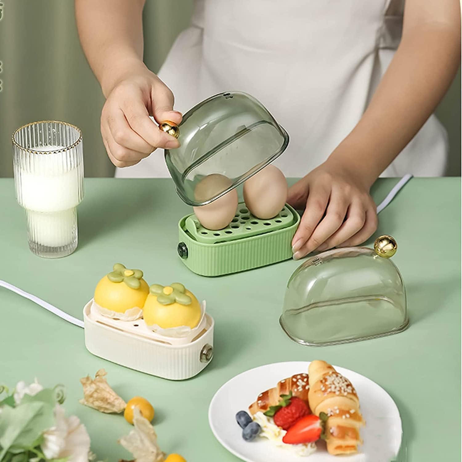 2-Egg Electric Egg Cooker
