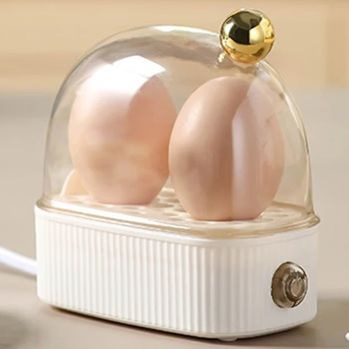2-Egg Electric Egg Cooker