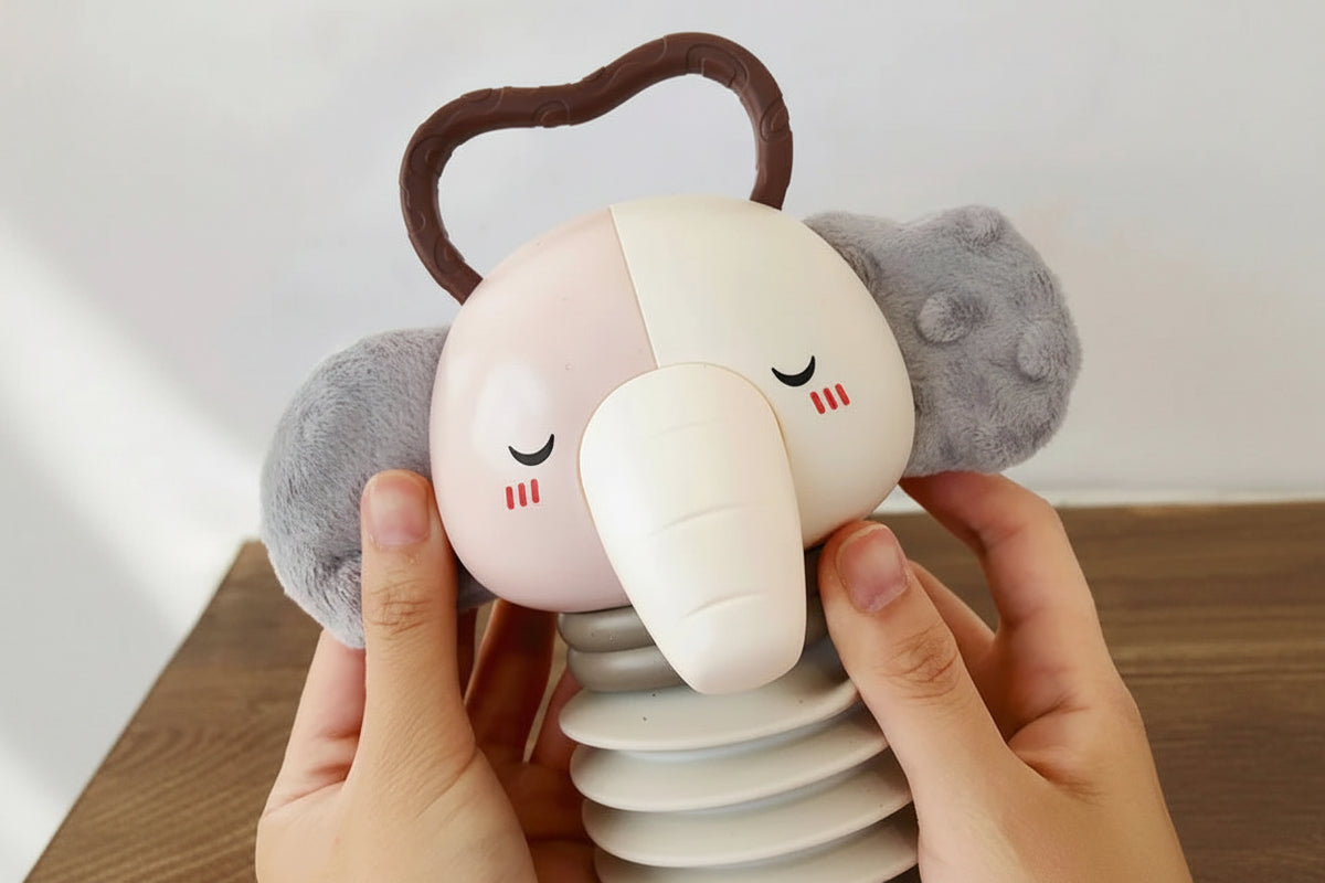 Baby Accordion and Rattle