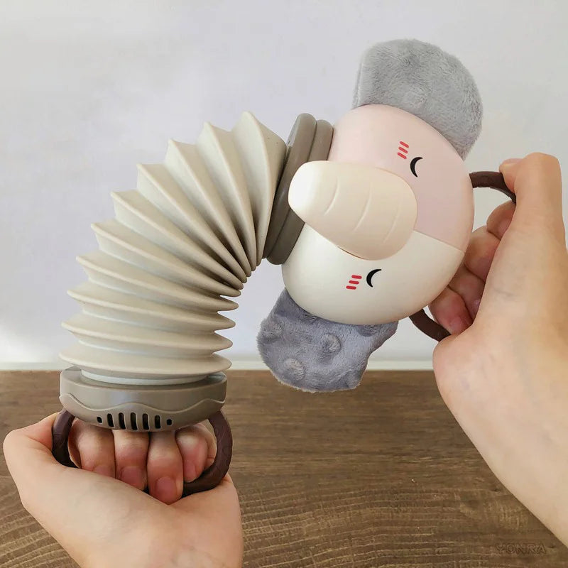 Baby Accordion and Rattle