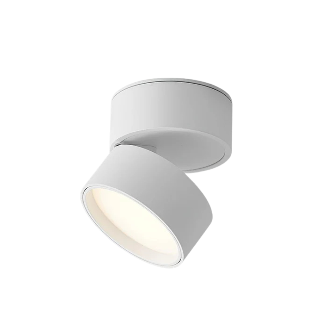Adjustable LED Ceiling Spotlight