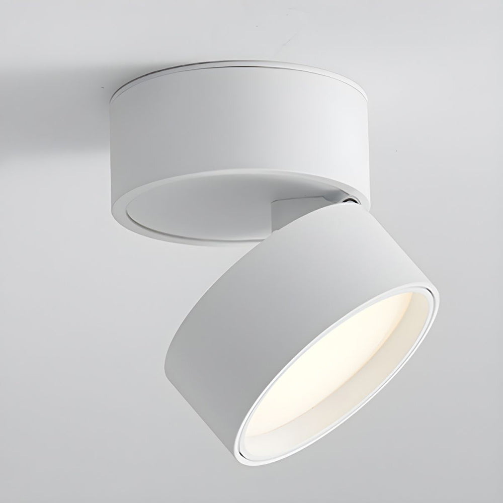 Adjustable Modern LED Ceiling Light with Rotatable Cylindrical Module