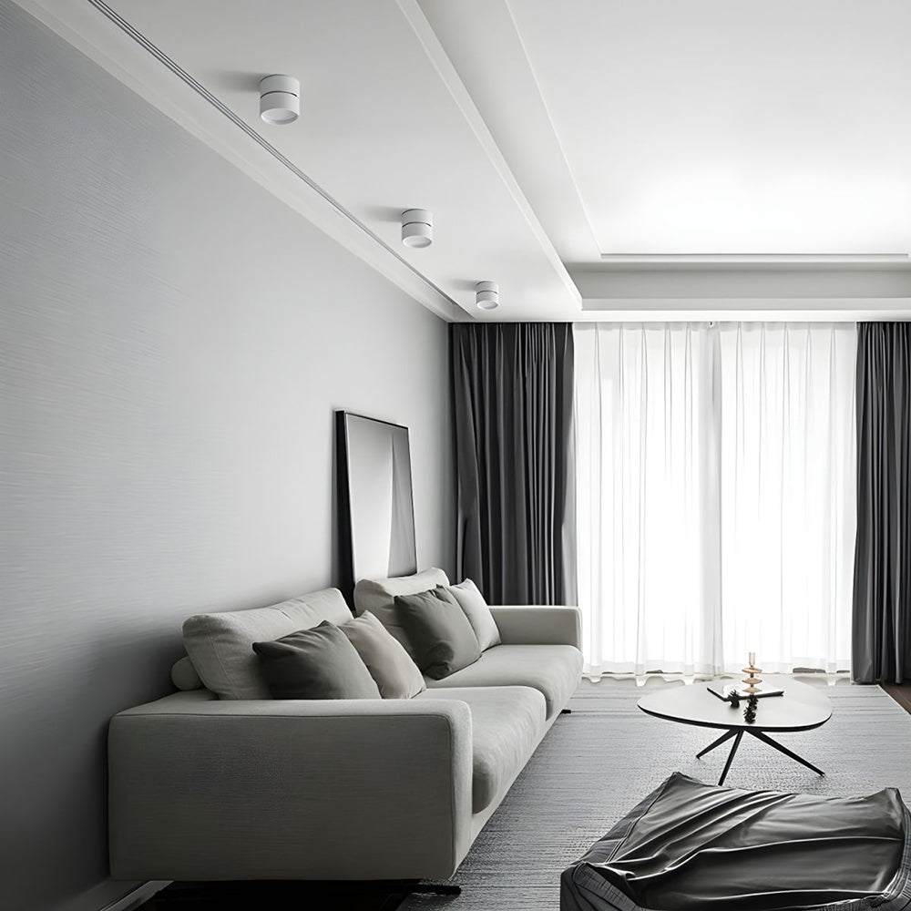Adjustable Modern LED Ceiling Light with Rotatable Cylindrical Module
