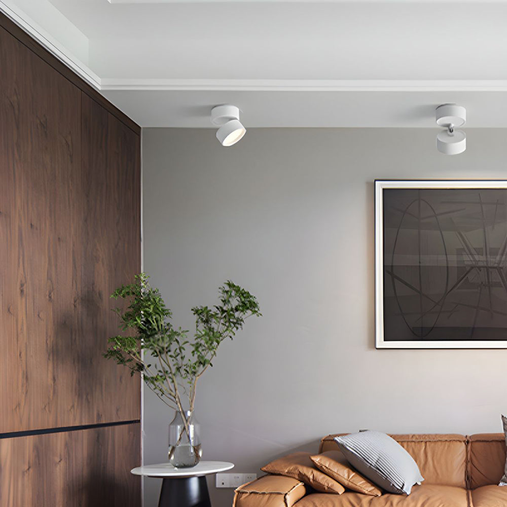 Adjustable Modern LED Ceiling Light with Rotatable Cylindrical Module