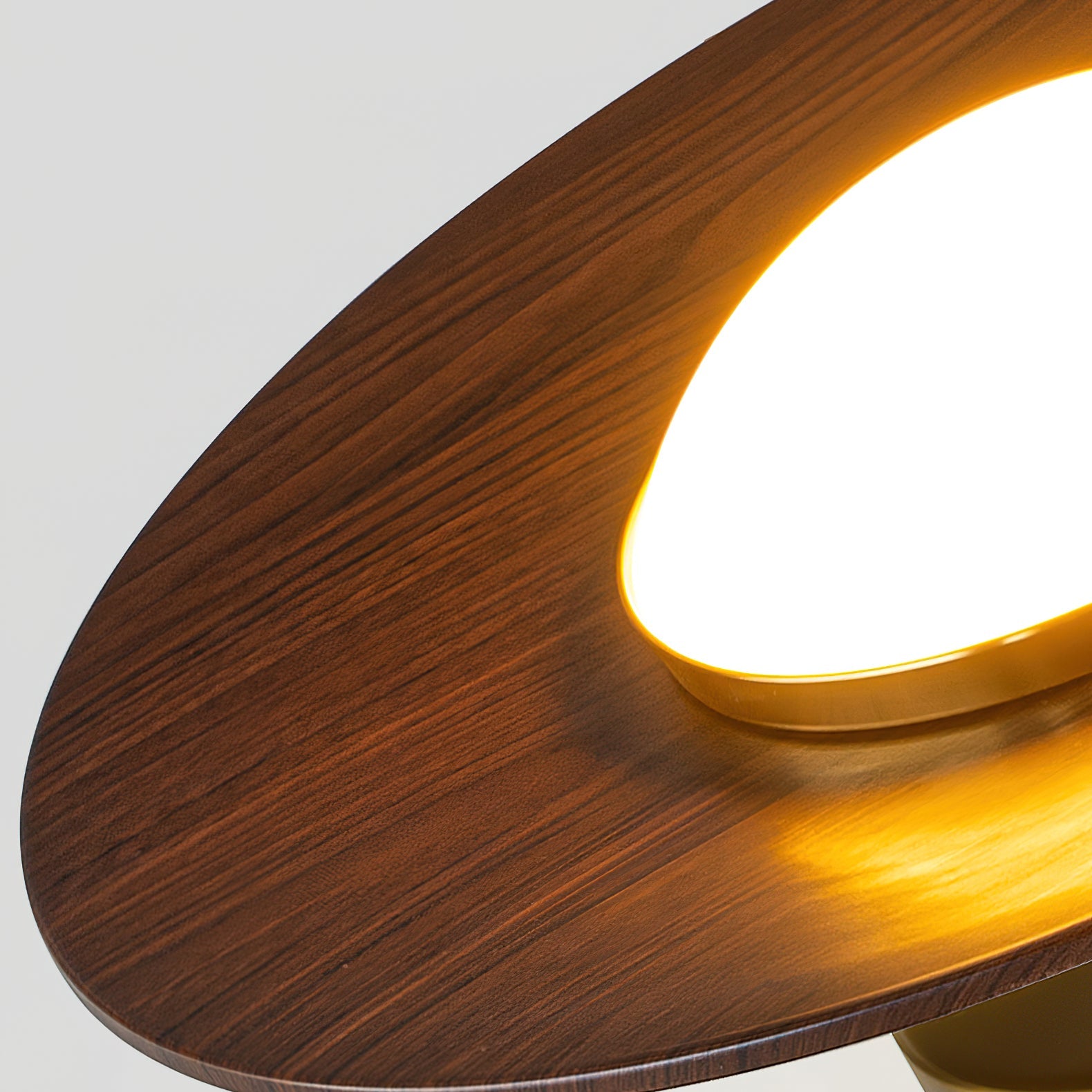 Contemporary Flush Mount Ceiling Light Fixture with Metal Frame and Wood Accent – 24cm Diameter LED Ceiling Lamp
