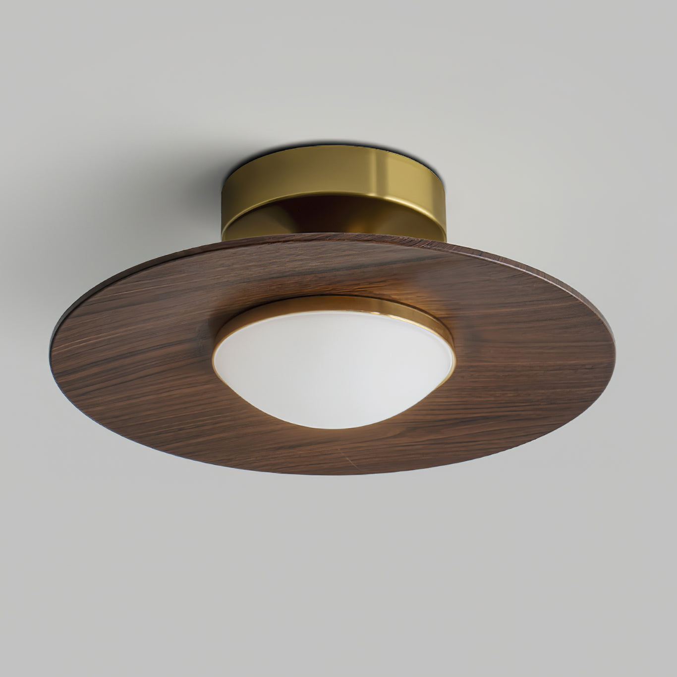 Contemporary Flush Mount Ceiling Light Fixture with Metal Frame and Wood Accent – 24cm Diameter LED Ceiling Lamp