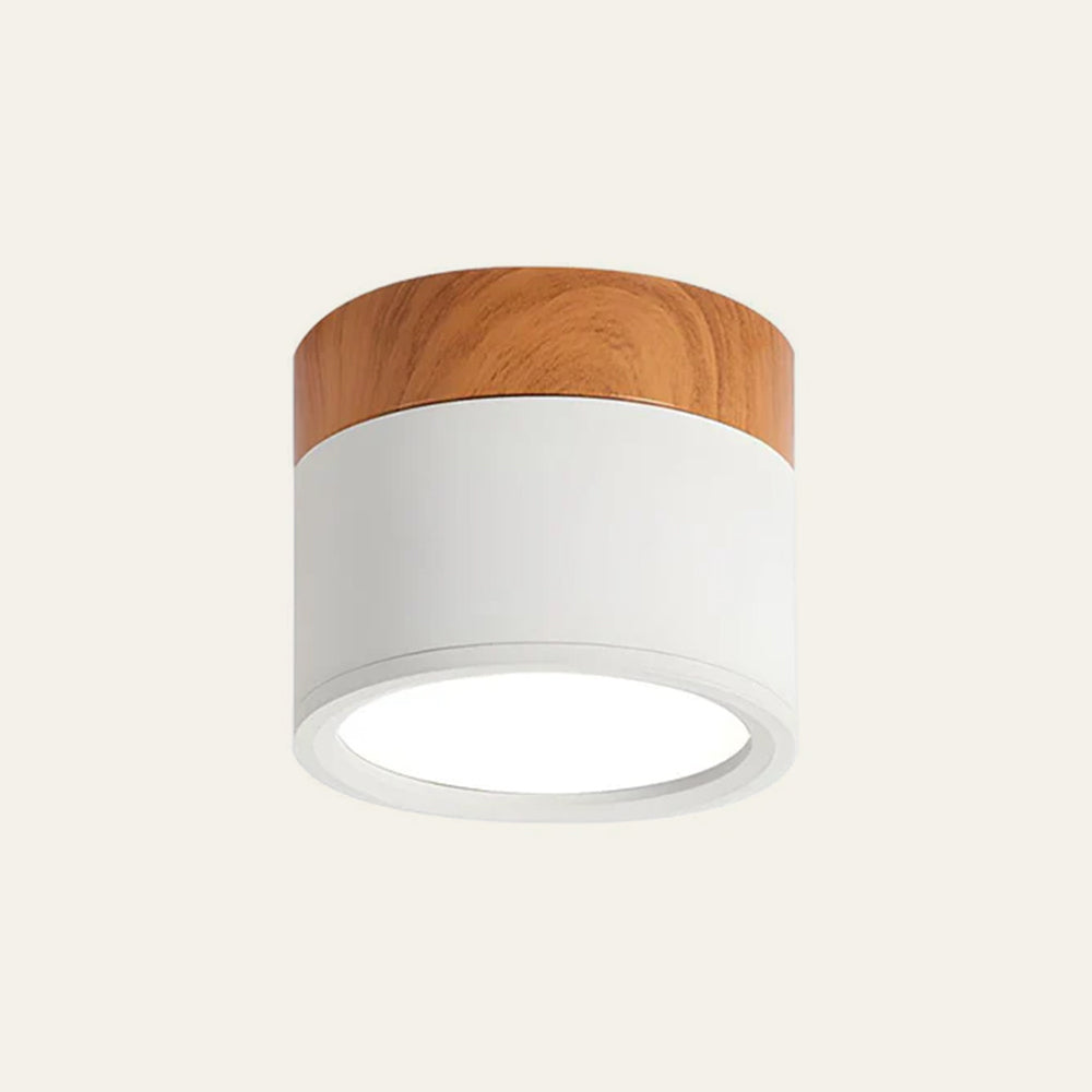 Cylindrical LED Ceiling Spotlight