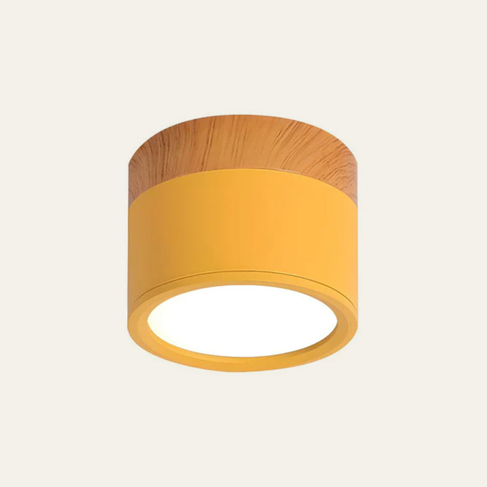Cylindrical LED Ceiling Spotlight