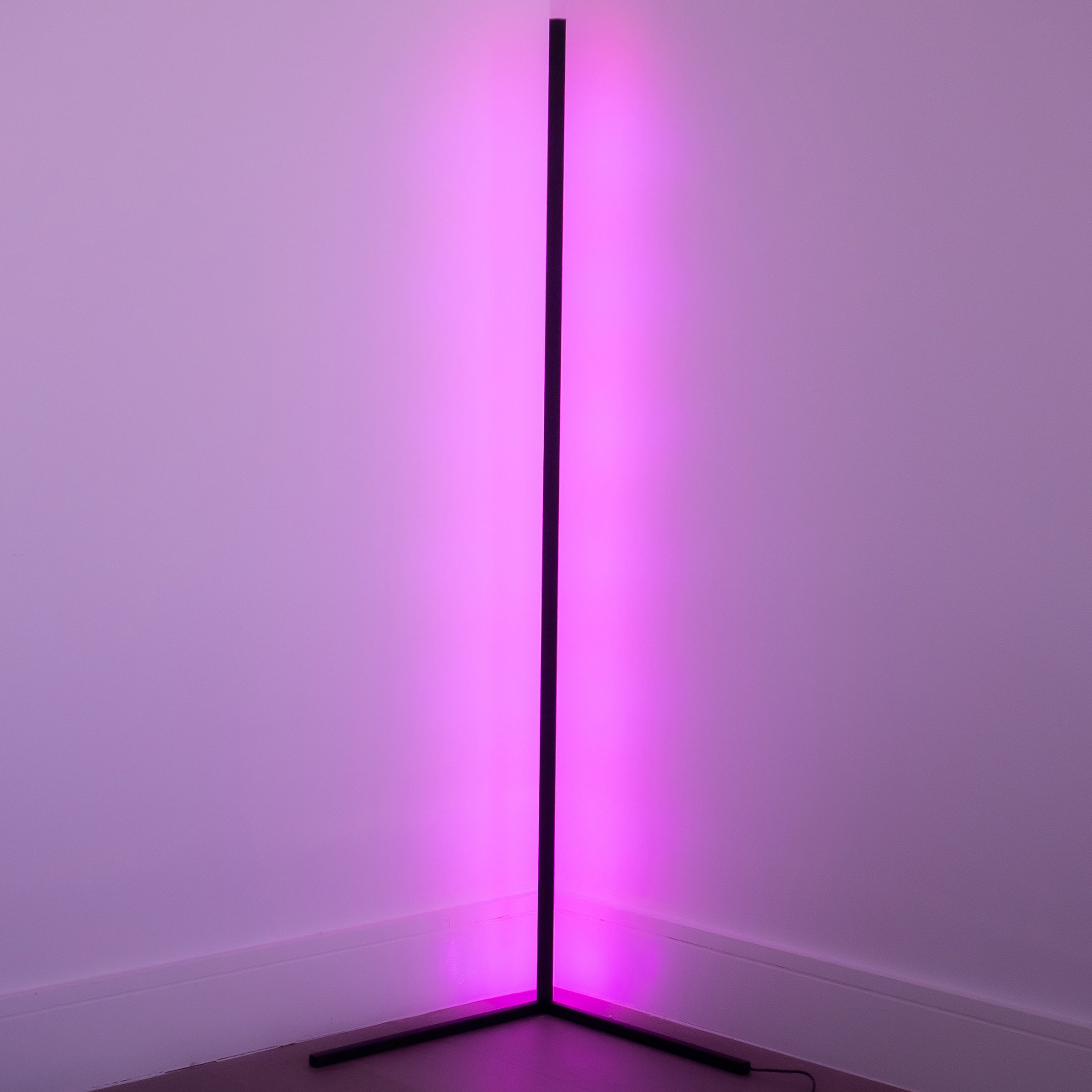Dimmable Multi-Mode Floor Lamp
