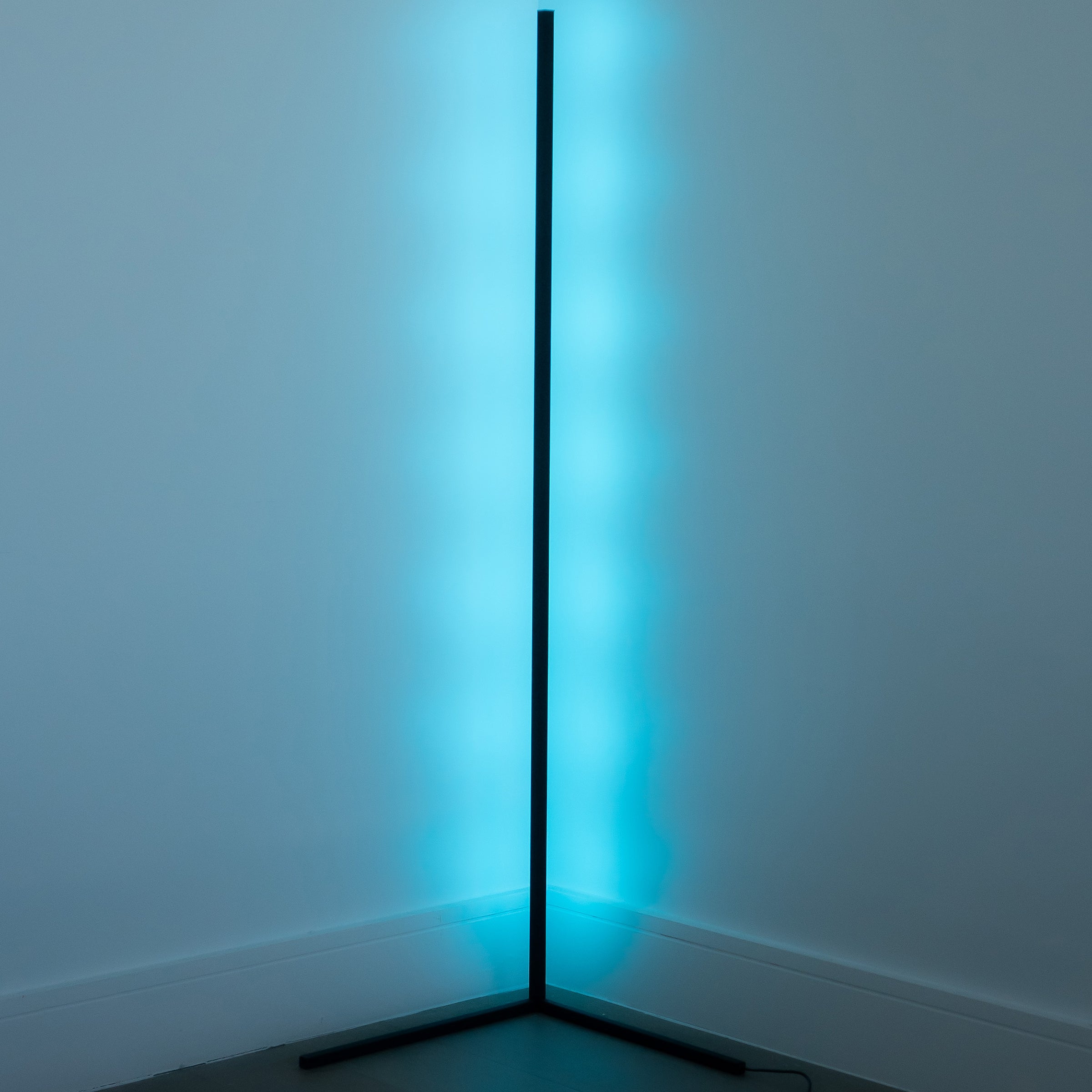 Dimmable Multi-Mode Floor Lamp