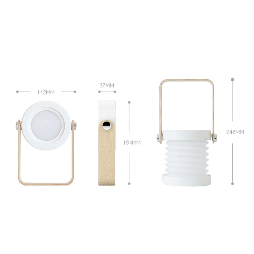 Accordion Light with Wooden Handle