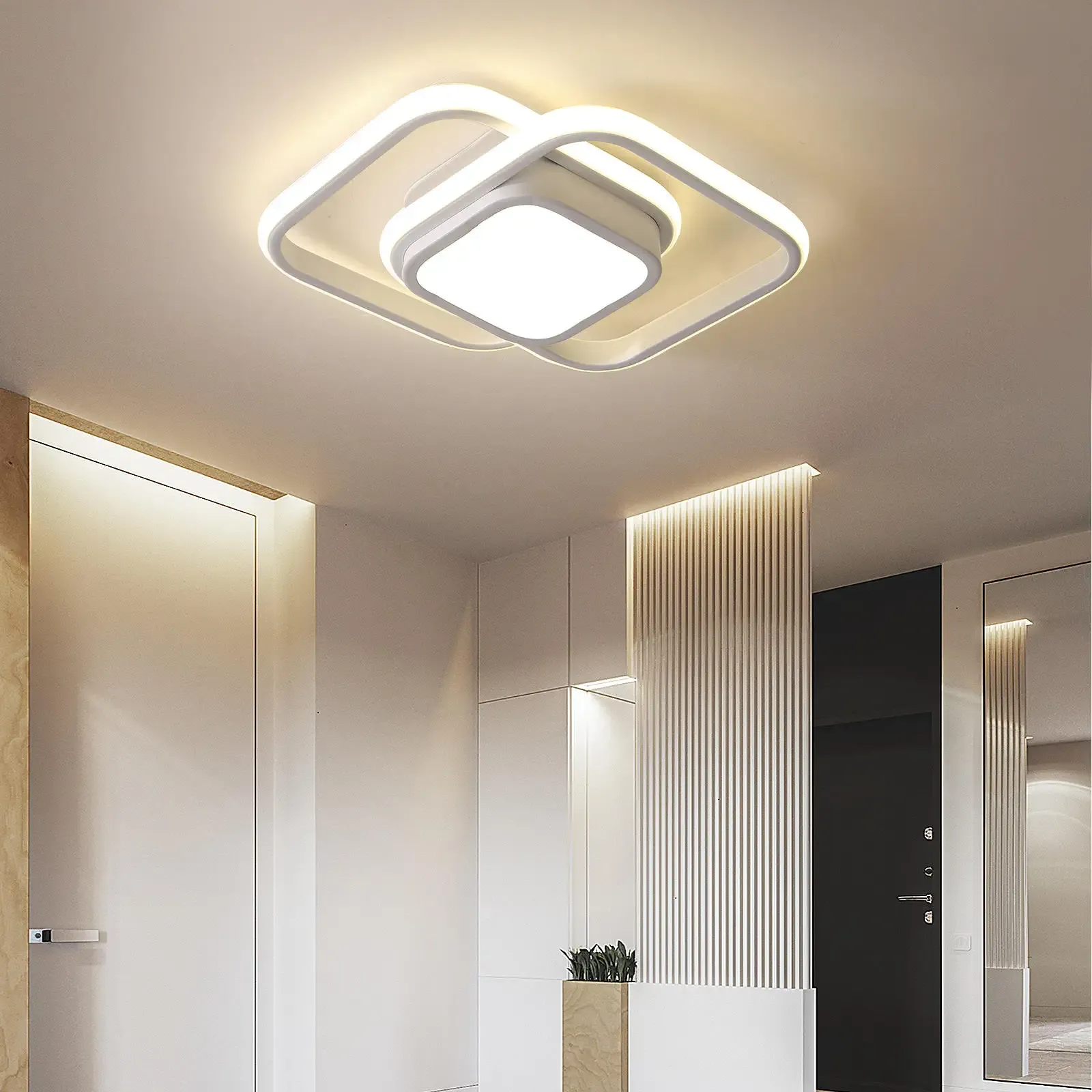 Double Ring LED Ceiling Lamp