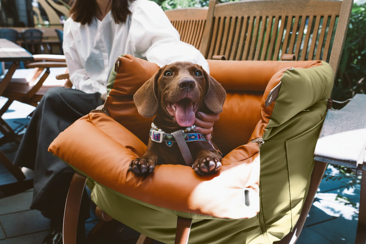 Faux Leather Dog Car Seat and Travel Bed