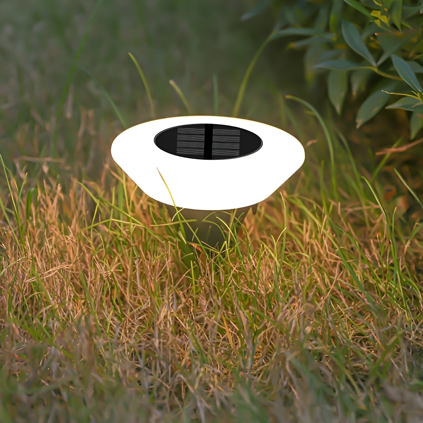 Solar LED Garden Stake Light with Automatic Dusk Sensor and IP44 Rating