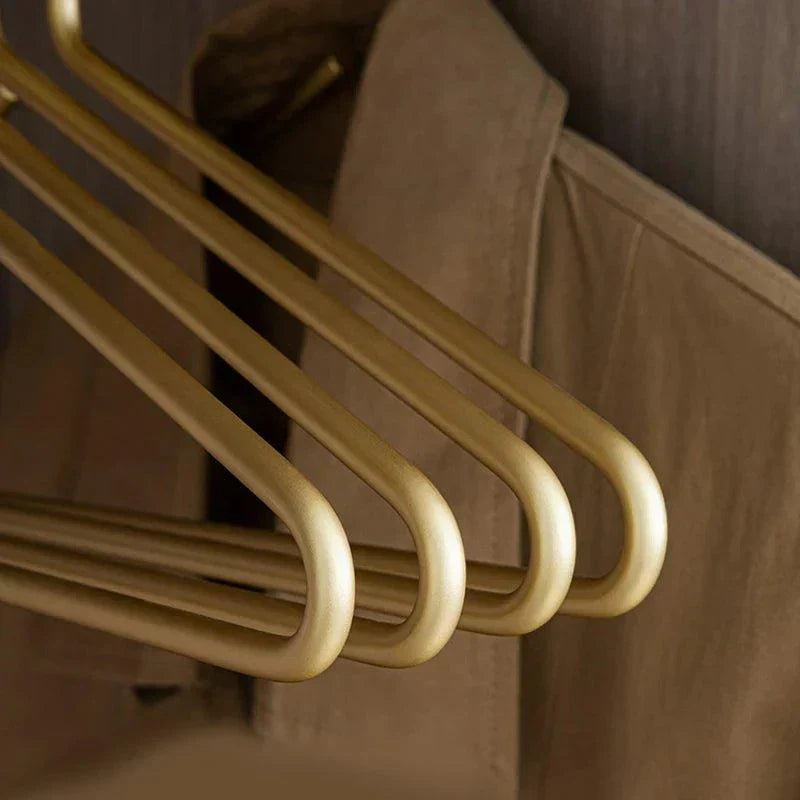 Metal Luxury Clothes Hanger