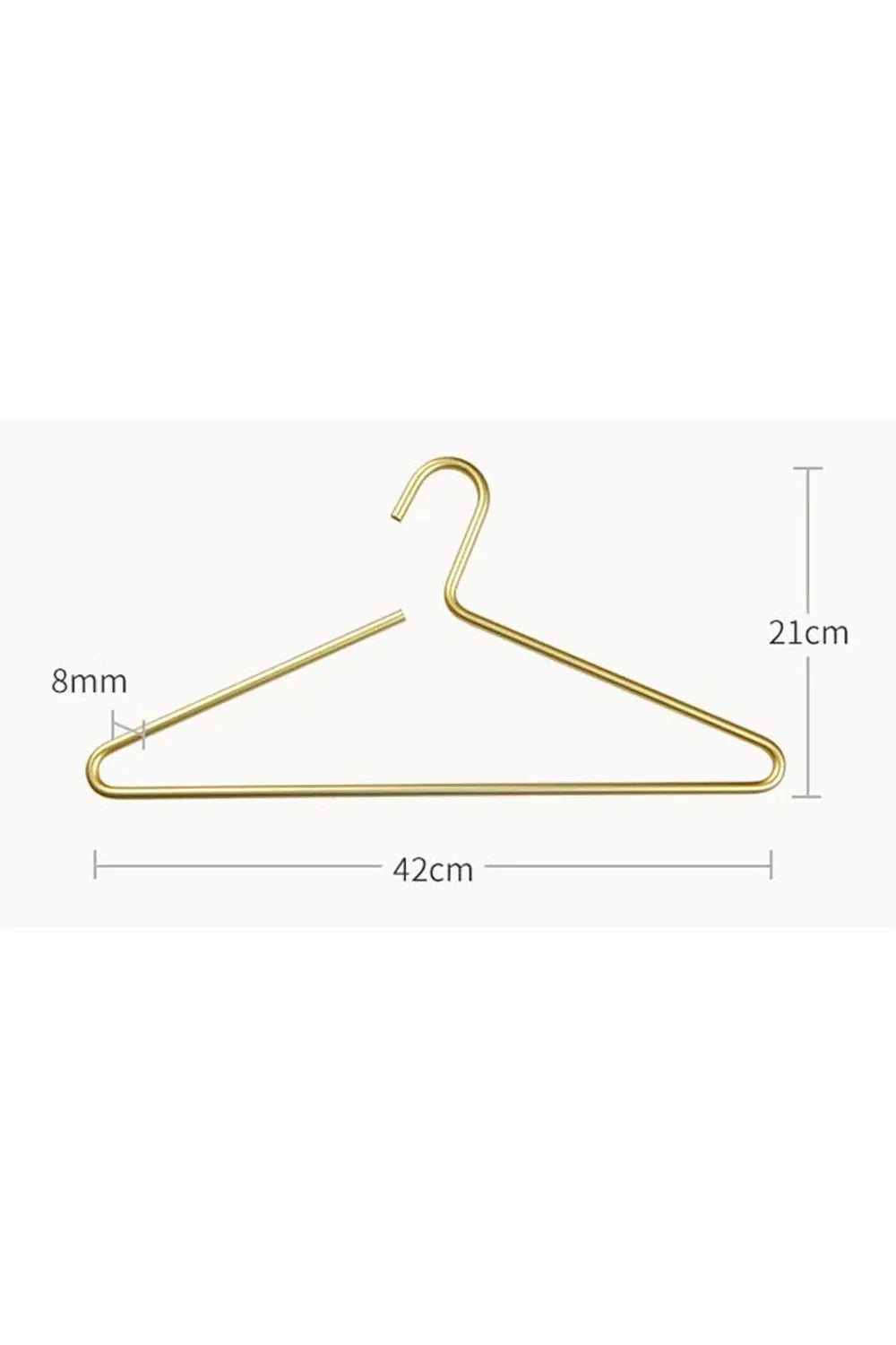 Metal Modern Clothes Hanger