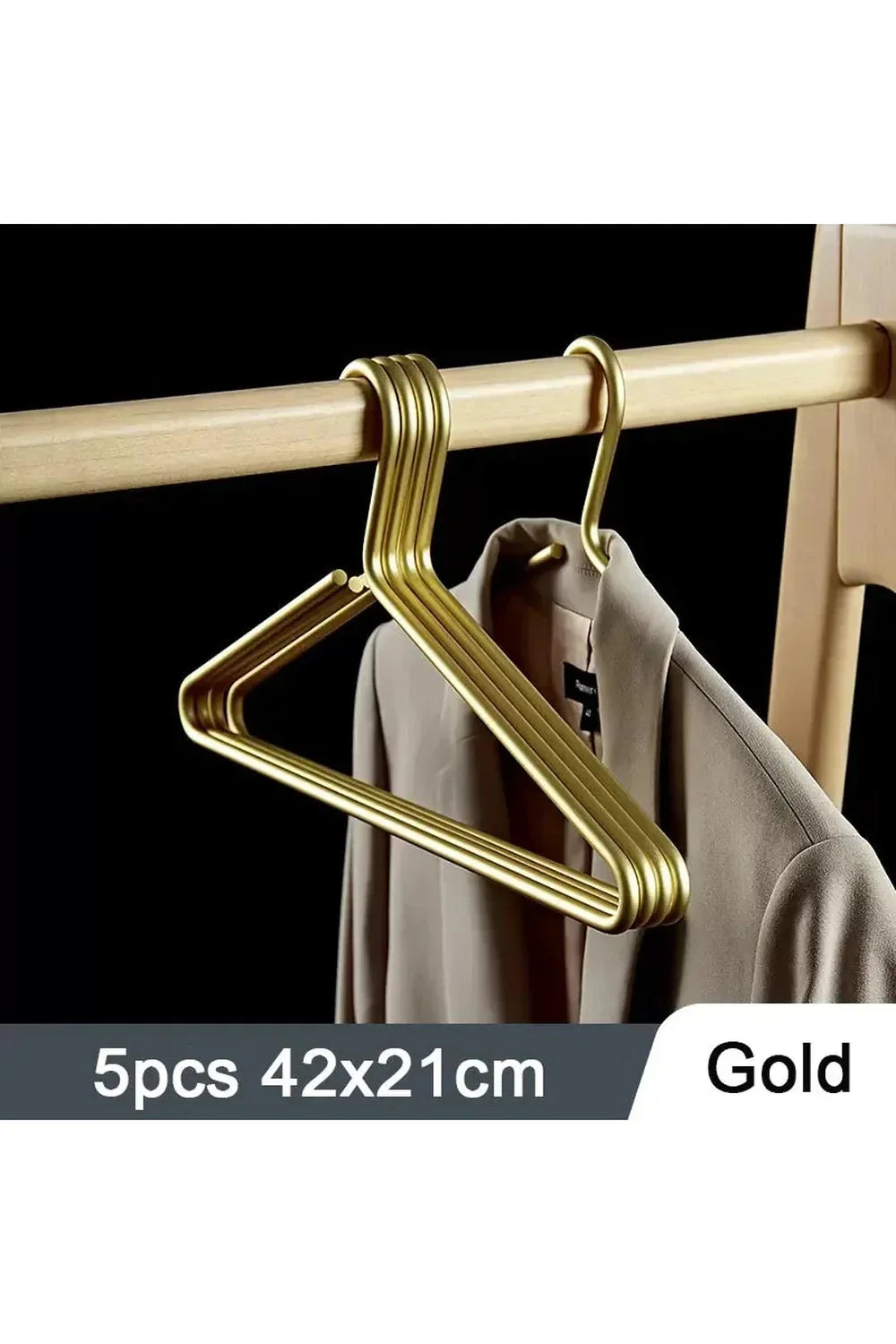 Metal Modern Clothes Hanger