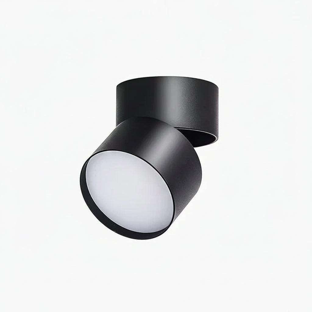 Modern Adjustable LED Ceiling Light with Rotating Head