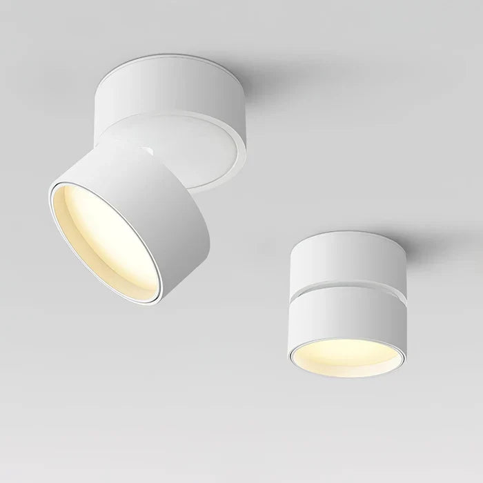 Modern Adjustable LED Ceiling Light with Rotating Head
