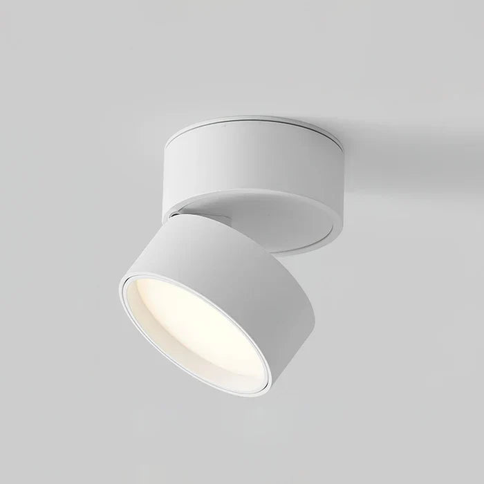 Modern Adjustable LED Ceiling Light with Rotating Head