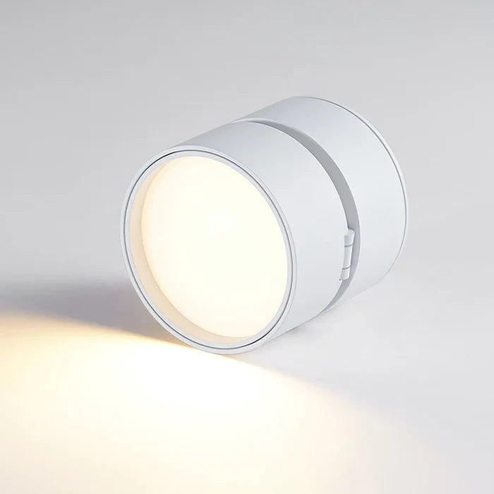 Modern Adjustable LED Ceiling Light with Rotating Head