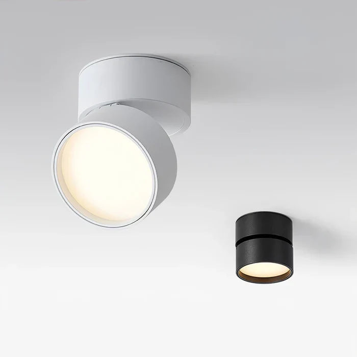 Modern Adjustable LED Ceiling Light with Rotating Head
