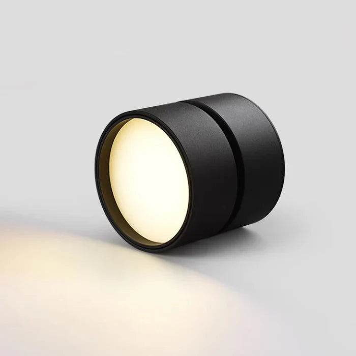 Modern Adjustable LED Ceiling Light with Rotating Head