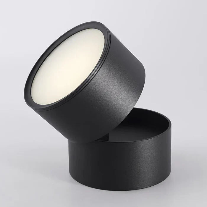 Modern Adjustable LED Ceiling Light with Rotating Head