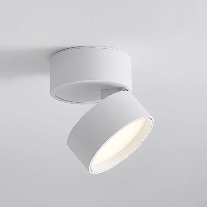 Modern Adjustable LED Ceiling Light with Rotating Head