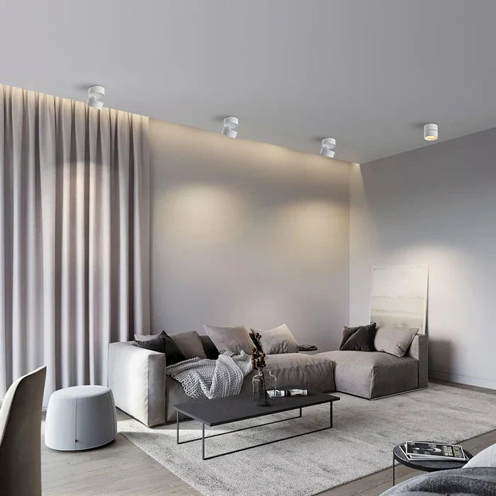 Modern Adjustable LED Ceiling Light with Rotating Head