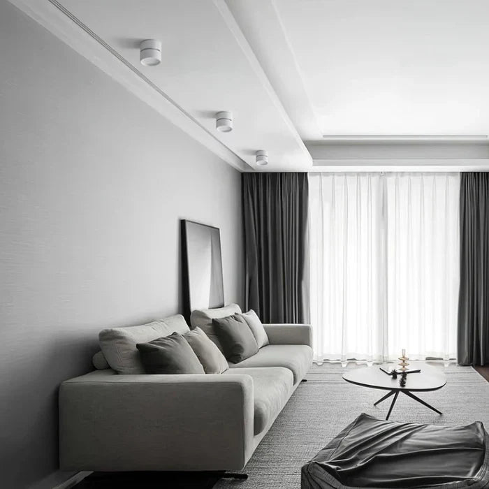 Modern Adjustable LED Ceiling Light with Rotating Head
